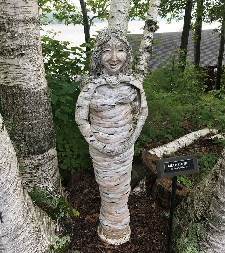 birch-elder Birch Elder