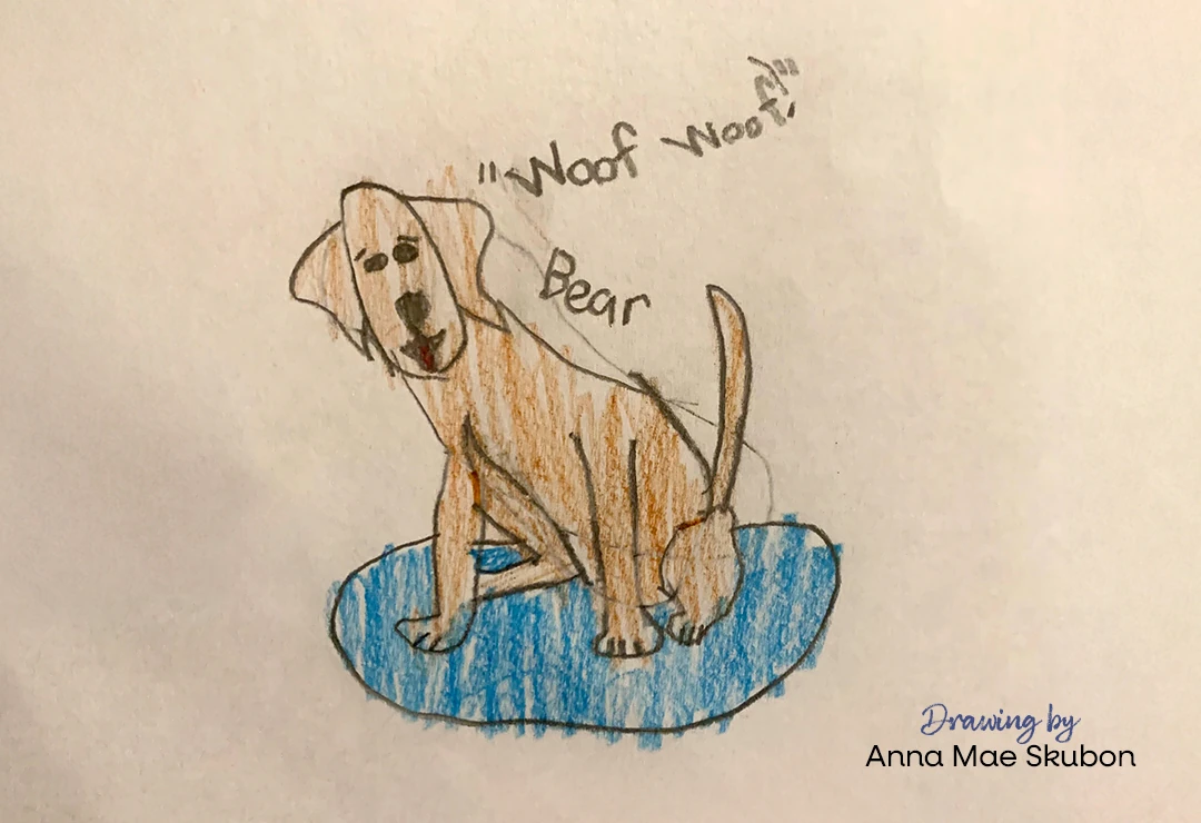 Bear drawing by Anna Mae Skubon