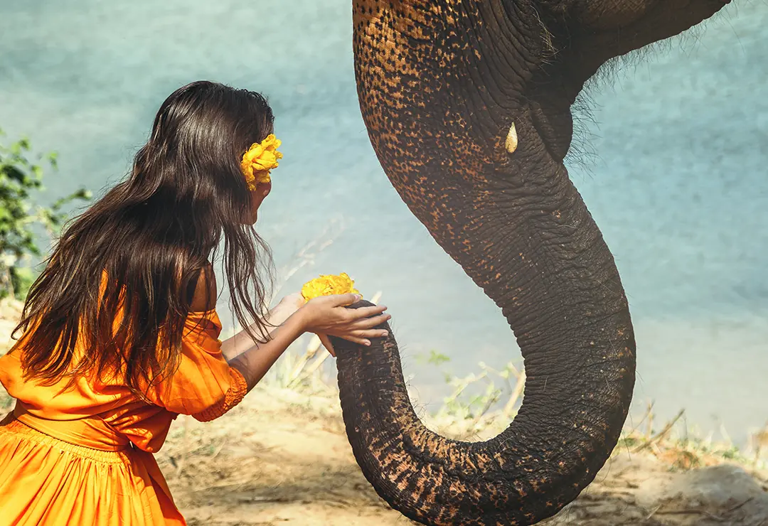 woman with elephant